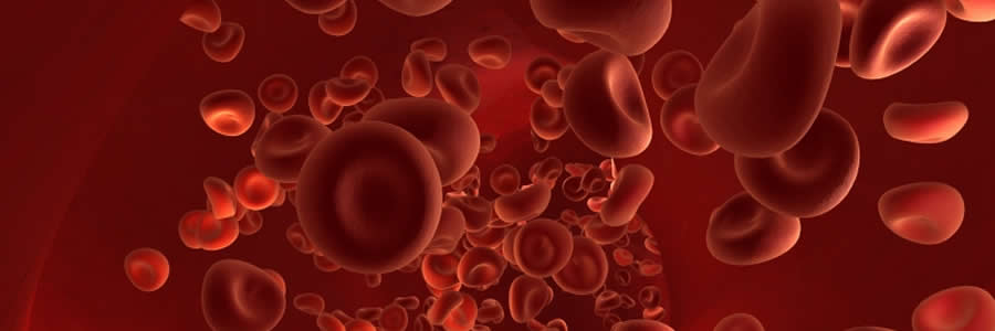 CryoStem Future For Stem Cell Storage